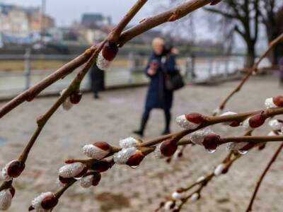 Тепло придет не скоро: в Украине весной ожидается погодный феномен. Афиша Днепра