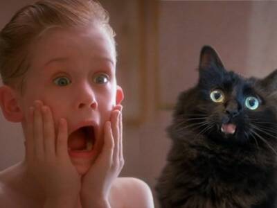 В фильм «Один дома» добавили кота: вирусное видео. Афиша Днепра