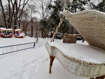 Лыжи, санки и снеговики: как днепряне радуются приходу настоящей зимы (Фото). Афиша Днепра