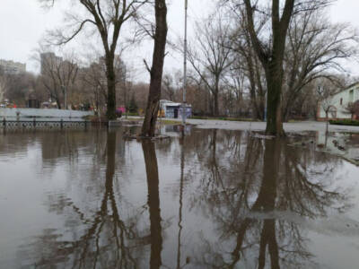 В парке Днепра озеро затопило детскую железную дорогу. Афиша Днепра
