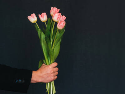 Цветы весны: где в Днепре 8 марта будут дарить тюльпаны. Афиша Днепра