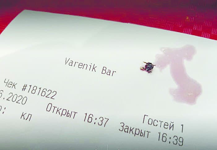 Varenik Bar: ресторан, где подают блюда из насекомых. Афиша Днепра