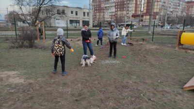 Собачники довольны: в Днепре появилась новая площадка для выгула собак (Фото). Афиша Днепра