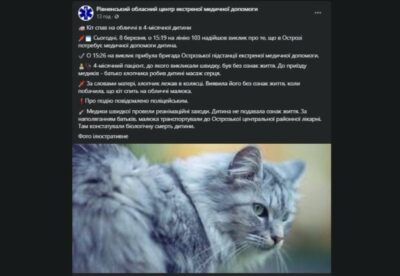 "Кот спал на лице": в Украине трагически оборвалась жизнь 4-месячного ребенка. Афиша Днепра