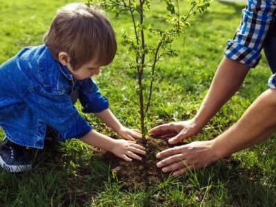 В парках Днепра каждый сможет посадить дерево: узнай когда. Афиша Днепра