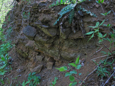 Около 2,5 миллиардов лет: на Днепропетровщине показали уникальный геологический памятник. Афиша Днепра