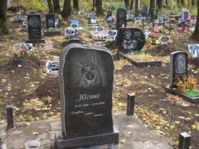 Где в Днепре можно законно похоронить домашнего любимца (Фото). Афиша Днепра