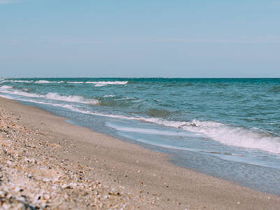 Азовское море теперь без медуз: Бирючий остров сегодня. Афиша Днепра