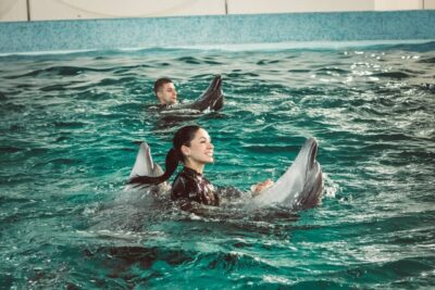 Кирилловка: дельфинарий «Оскар» встретит посетителей с обновленной программой. Афиша Днепра