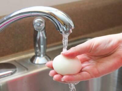 Почему нельзя мыть куриные яйца сразу после покупки. Афиша Днепра