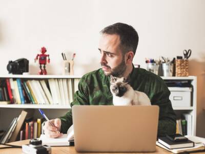 Психологи узнали, кто креативнее — любители кошек или собак? Афиша Днепра
