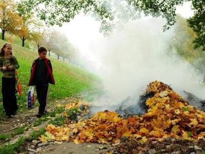 В Днепре начались рейды, связанные со сжиганием листвы (ВИДЕО). Афиша Днепра
