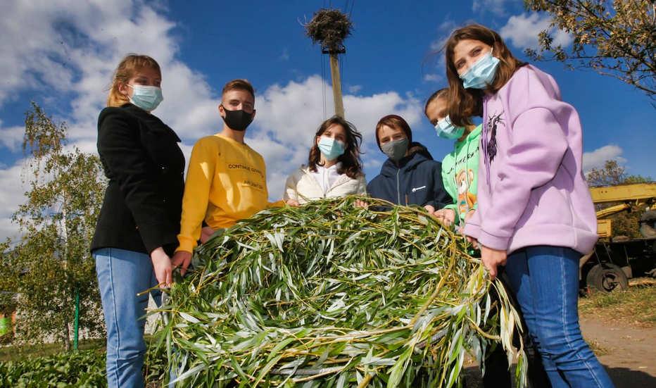 В Днепровском районе обустроили безопасное гнездо для аистов. Афиша Днепра