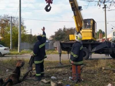 На Днепропетровщине спасатели вытащили коня из ловушки (ФОТО). Афиша Днепра