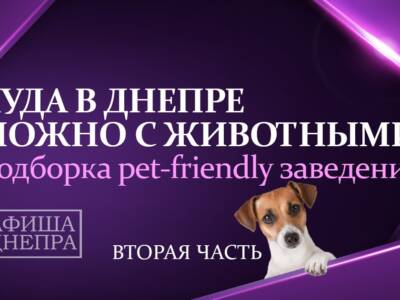 Где в Днепре можно пообедать с собаками: pet-friendly заведения. Афиша Днепра