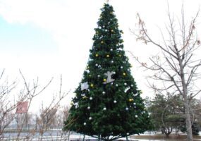 Рождество на льду: как в Новокодацком парке открыли елку (ФОТО). Афиша Днепра