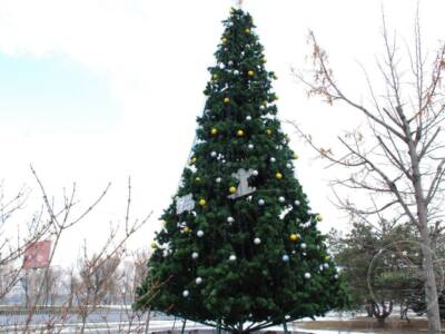 Рождество на льду: как в Новокодацком парке открыли елку (ФОТО). Афиша Днепра