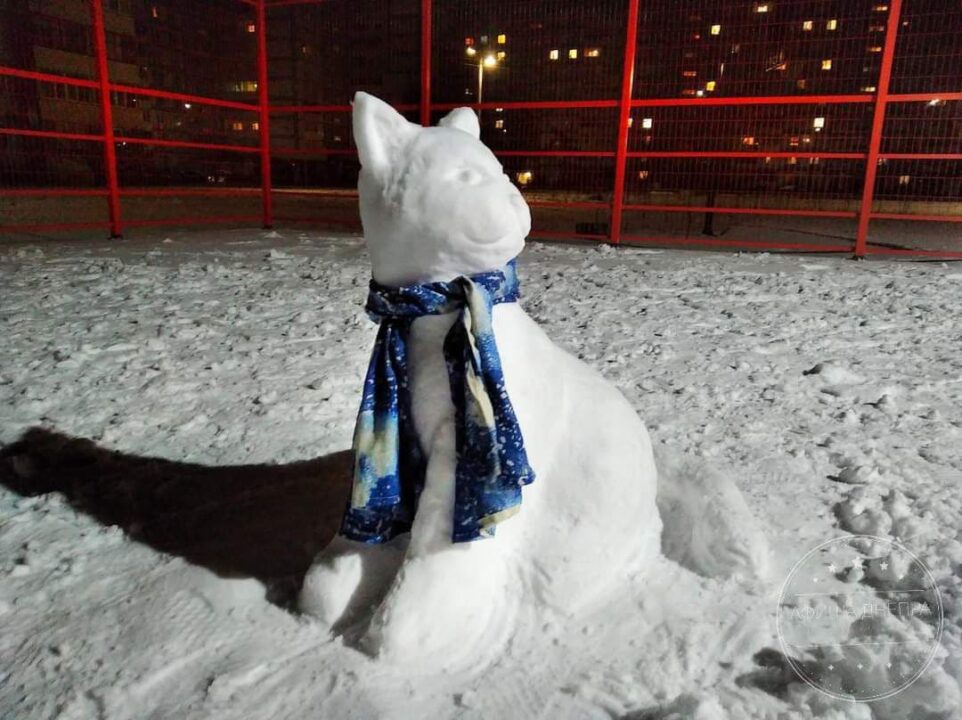 Снежок кататься. Кот из снега слепила девочка. Снежок Каменский. Девочка вылепила кота из снега фото. Кот лепил пирог из снега детский стих.