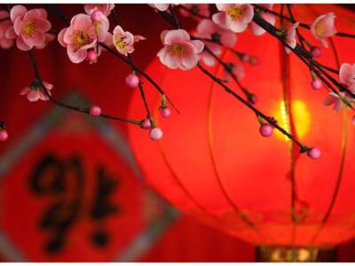 Скоро китайский Новый год: названы счастливые цвета и числа для каждого знака. Афиша Днепра