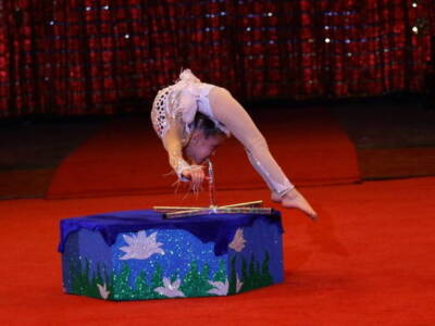 В Днепровском цирке установили национальный рекорд Украины. Афиша Днепра