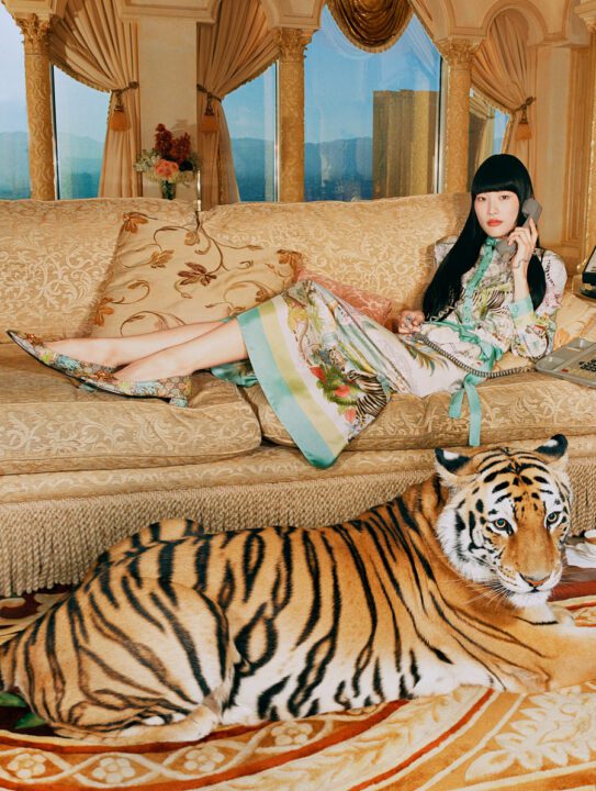 Prada и Gucci привлекают внимание к вымиранию тигров. Афиша Днепра