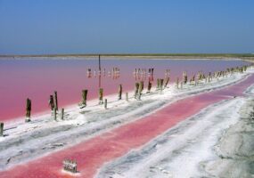 Опубликованы эксклюзивные зимние снимки Розового озера на Арабатской стрелке. Афиша Днепра